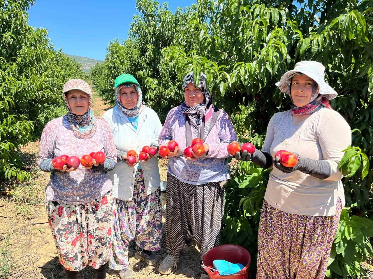 TARİHİ VE TURİZMİYLE OLDUĞU KADAR VERİMLİ TARIM ARAZİLERİYLE DE ÖNE ÇIKAN BURSA’NIN İZNİK...