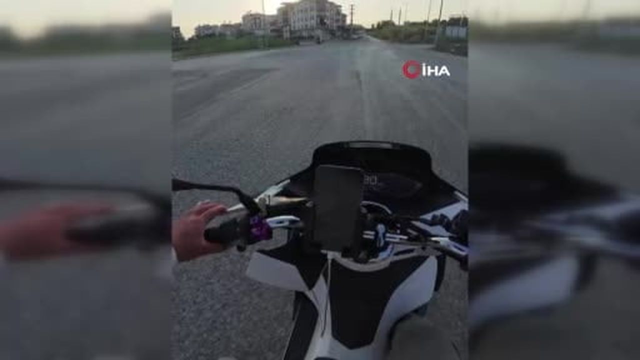 Kazada yaralanan yavru köpeği taşla öldürdüğü iddia edilen Alman vatandaşı deport edildi