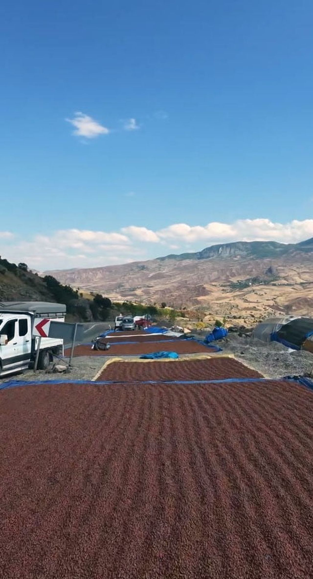 ŞEBİNKARAHİSAR’DA ÜRETİCİLERİN FINDIKLARINI ŞEBİNKARAHİSAR-ALUCRA KARAYOLU GÜZERGAHINDAKİ YOL...