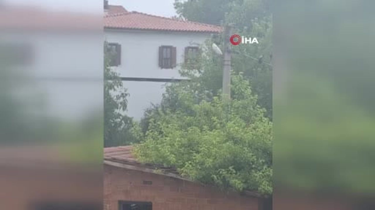 Safranbolu'da karganın "Allah" diye ses çıkardığı anlar kameraya yansıdı