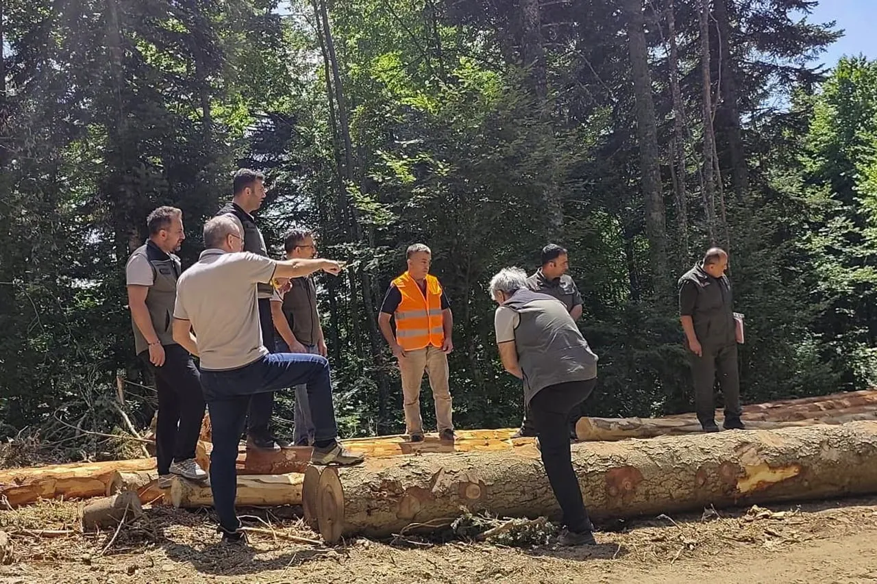 BOLU ORMAN BÖLGE MÜDÜRÜ CELAL KANBUR (TİŞÖRTLÜ), BOLU ORMAN İŞLETME MÜDÜRLÜĞÜ’NDE YÜRÜTÜLEN BAKIM...