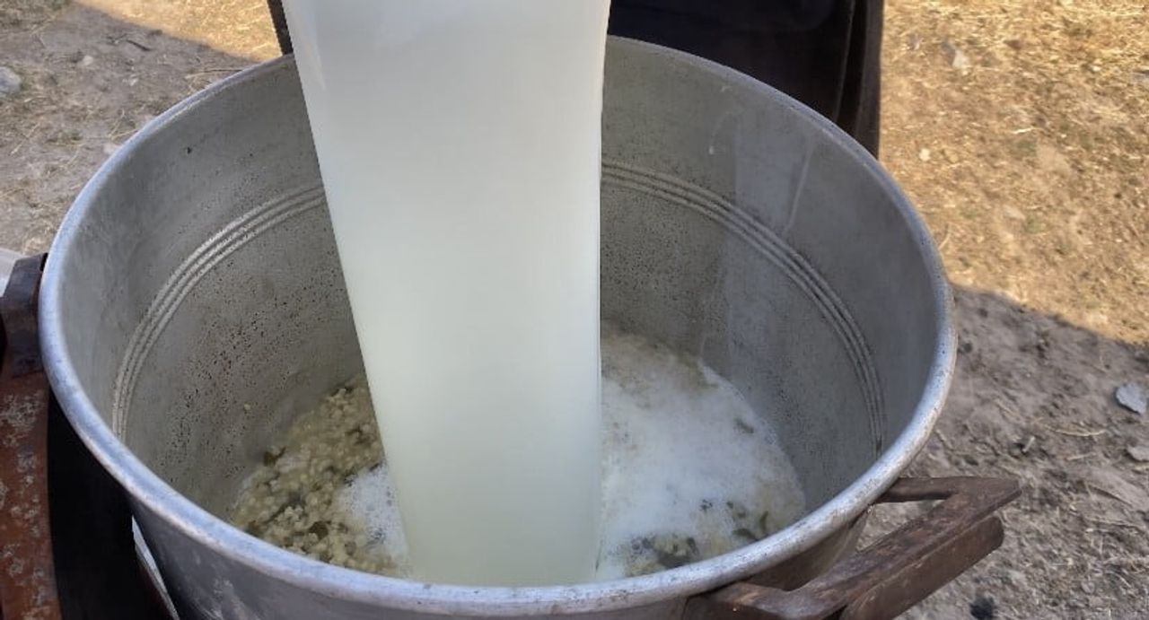 AĞRI’NIN PATNOS İLÇESİNDE, KUŞAKTAN KUŞAĞA AKTARILAN YÖRESEL LEZZETLERDEN GIRAR (AYRAN AŞI)...