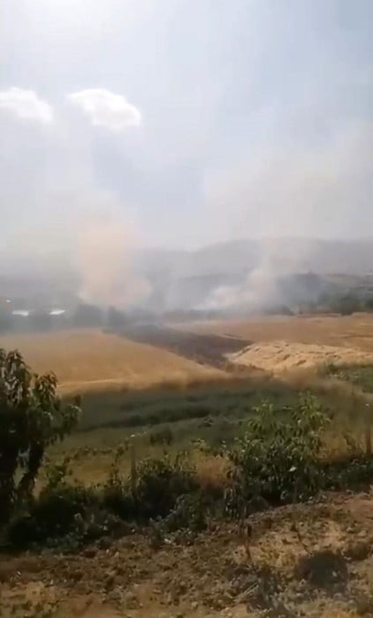 TADIM KÖYÜNDE BULUNAN OTLUK ALANDA YANGIN ÇIKTI