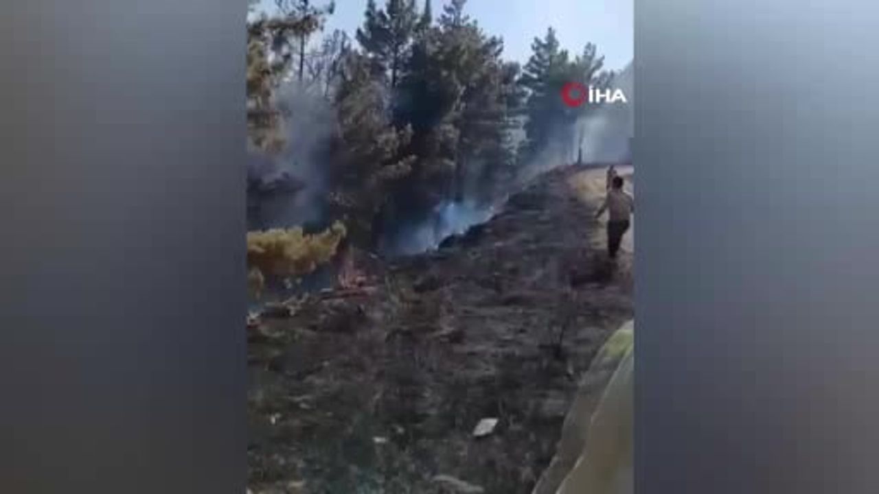 Mersin'deki orman yangını havadan ve karadan müdahale ile kontrol altına alındı