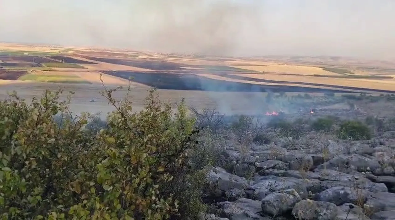 ADIYAMAN’IN BESNİ İLÇESİNDE MEYDANA GELEN ANIZ YANGININ ORMANLIK ALANA SIÇRAMASI KORKUTTU.