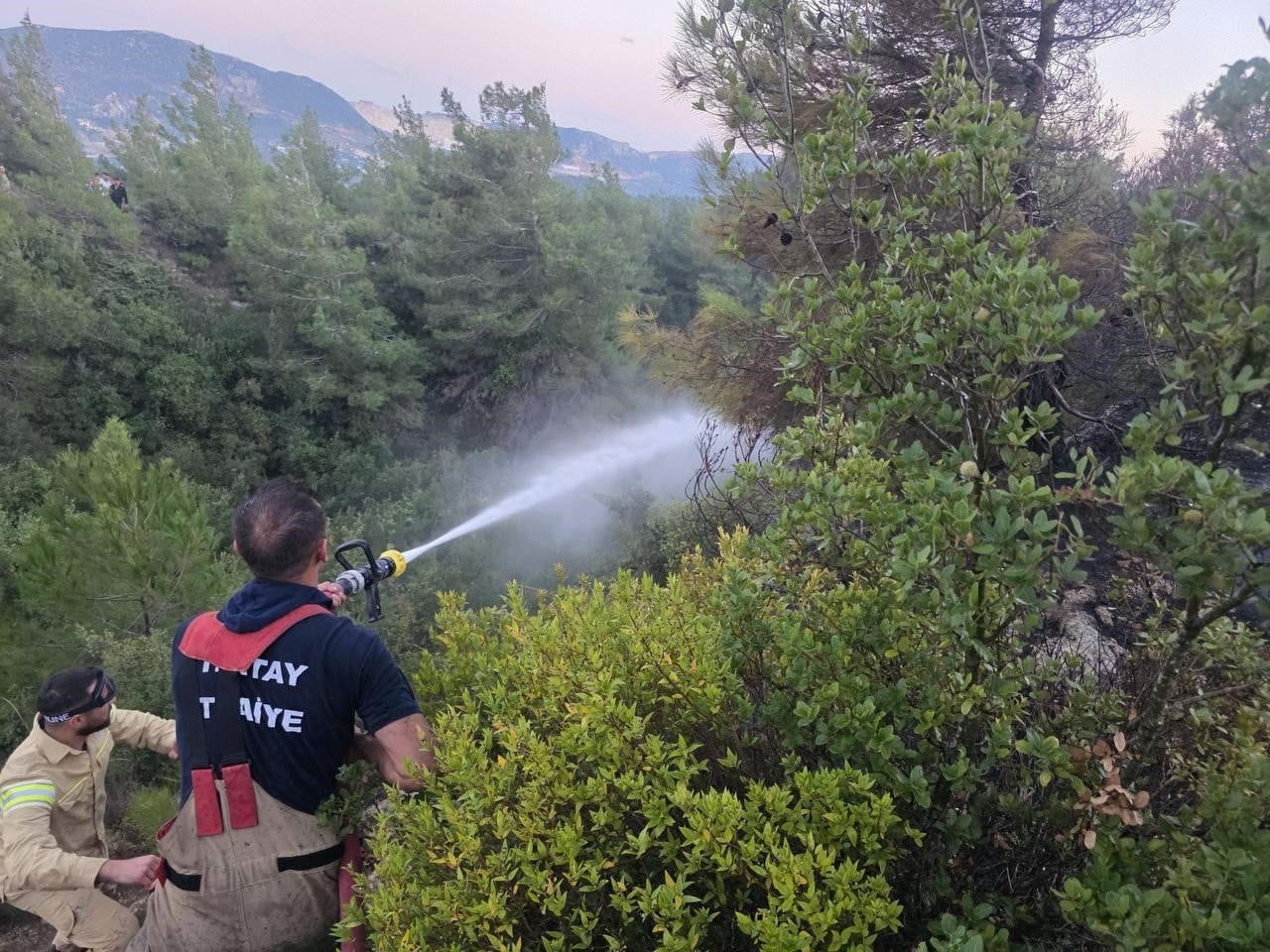 HATAY’IN ANTAKYA İLÇESİNDE ÇIKAN ORMAN YANGINI ÇIKTI. İTFAİYE EKİPLERİNİN MÜDAHALESİYLE YANGIN...