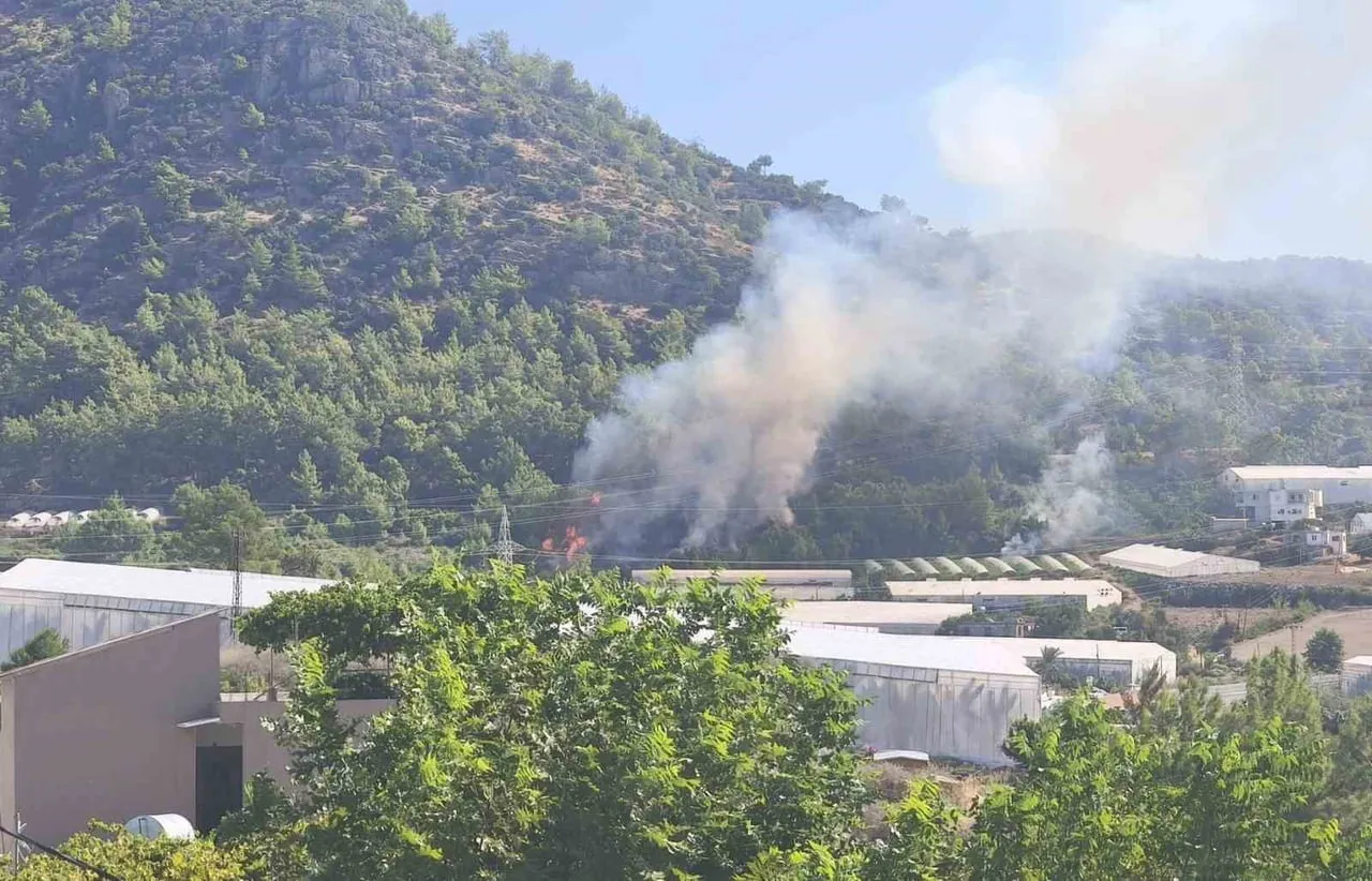 MERSİN’İN BOZYAZI İLÇESİNDE ORMANLIK ALANDA ÇIKAN YANGIN, EKİPLERİN HIZLI MÜDAHALESİYLE BÜYÜMEDEN...