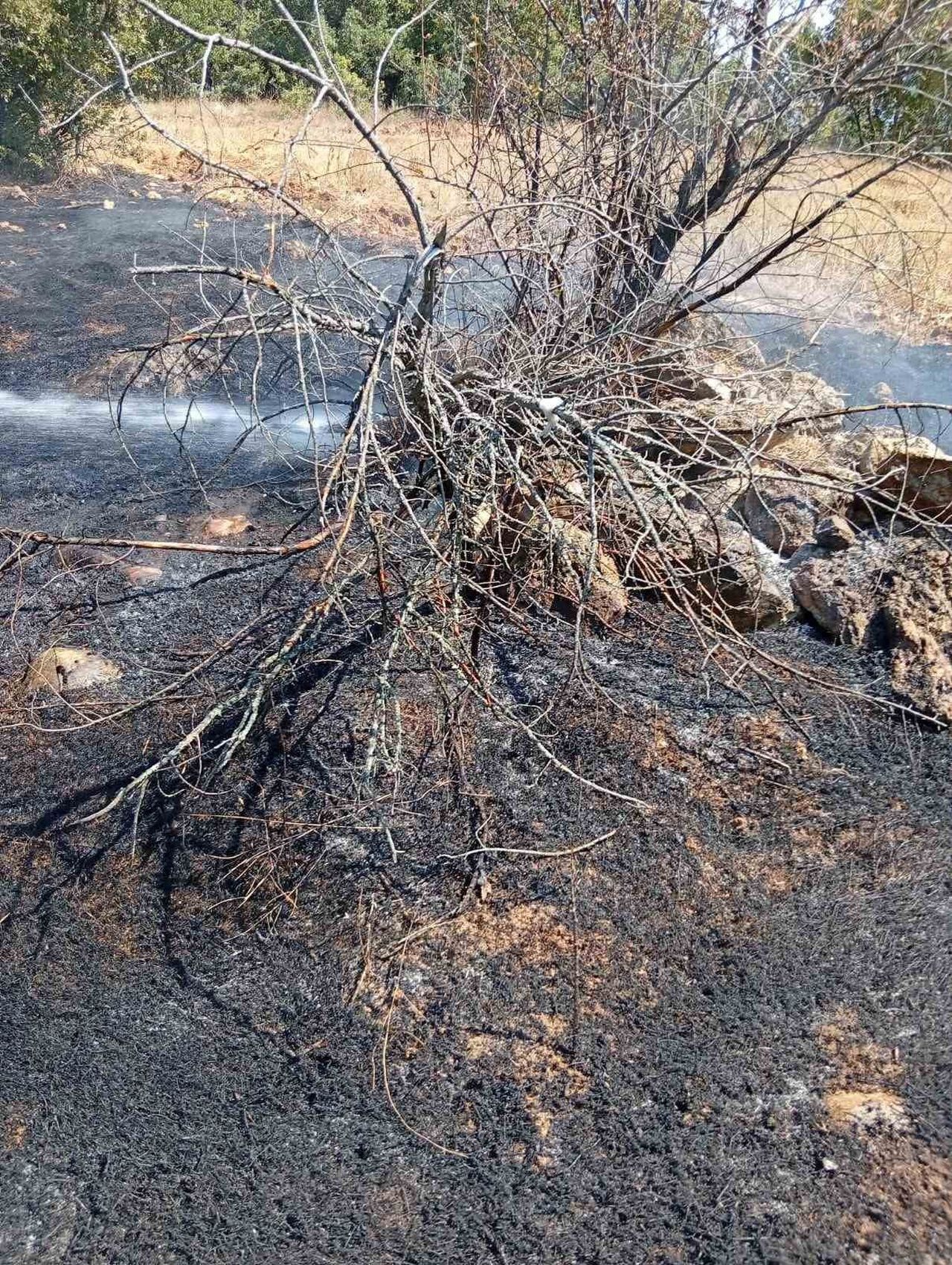 BİLECİK’TE KÖY YAKININDA OT YANGINI