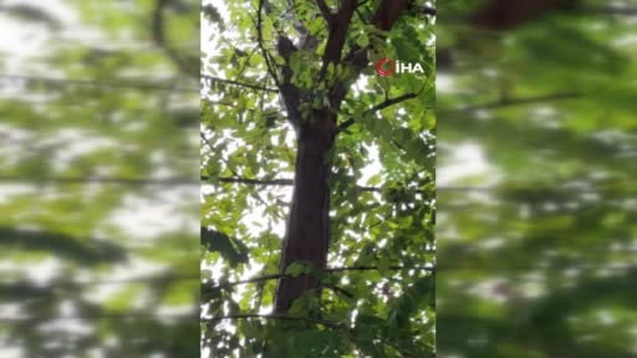 Osmaniye’de düğün salonunda elektrik kabloları yandı, pano patladı