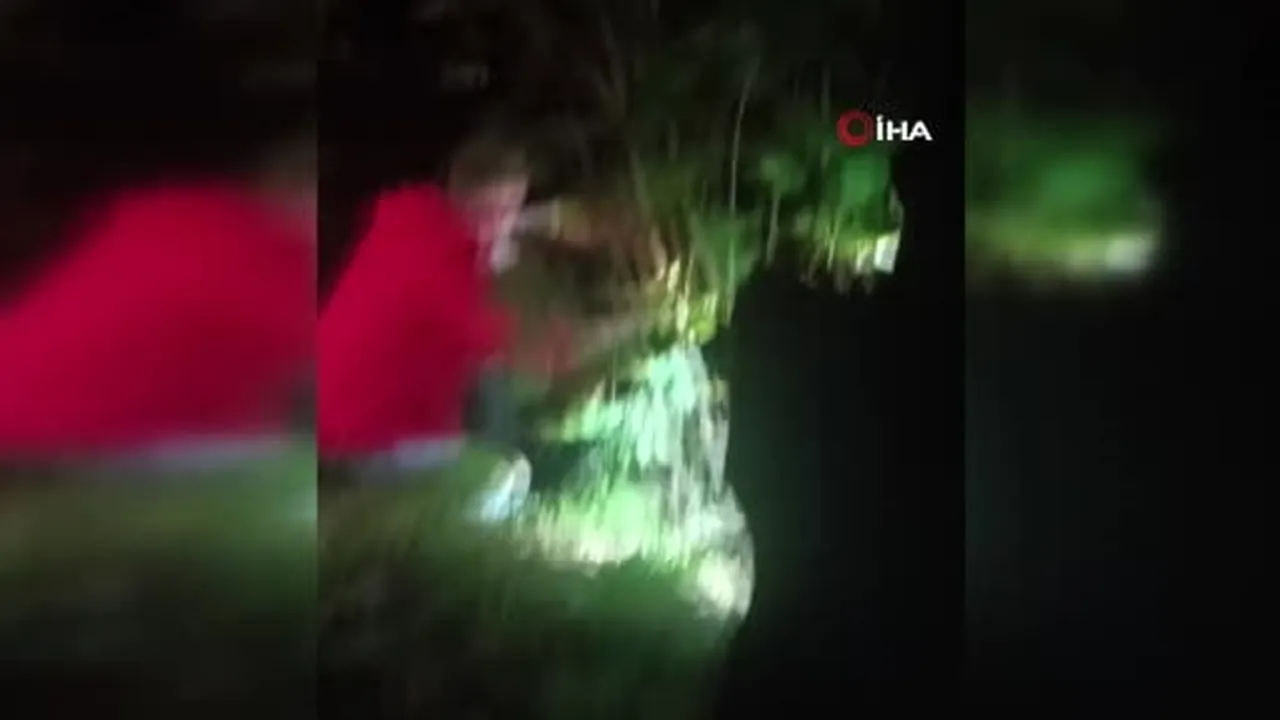 Ordu'da uçuruma yuvarlanan iki kardeş hayatını kaybetti