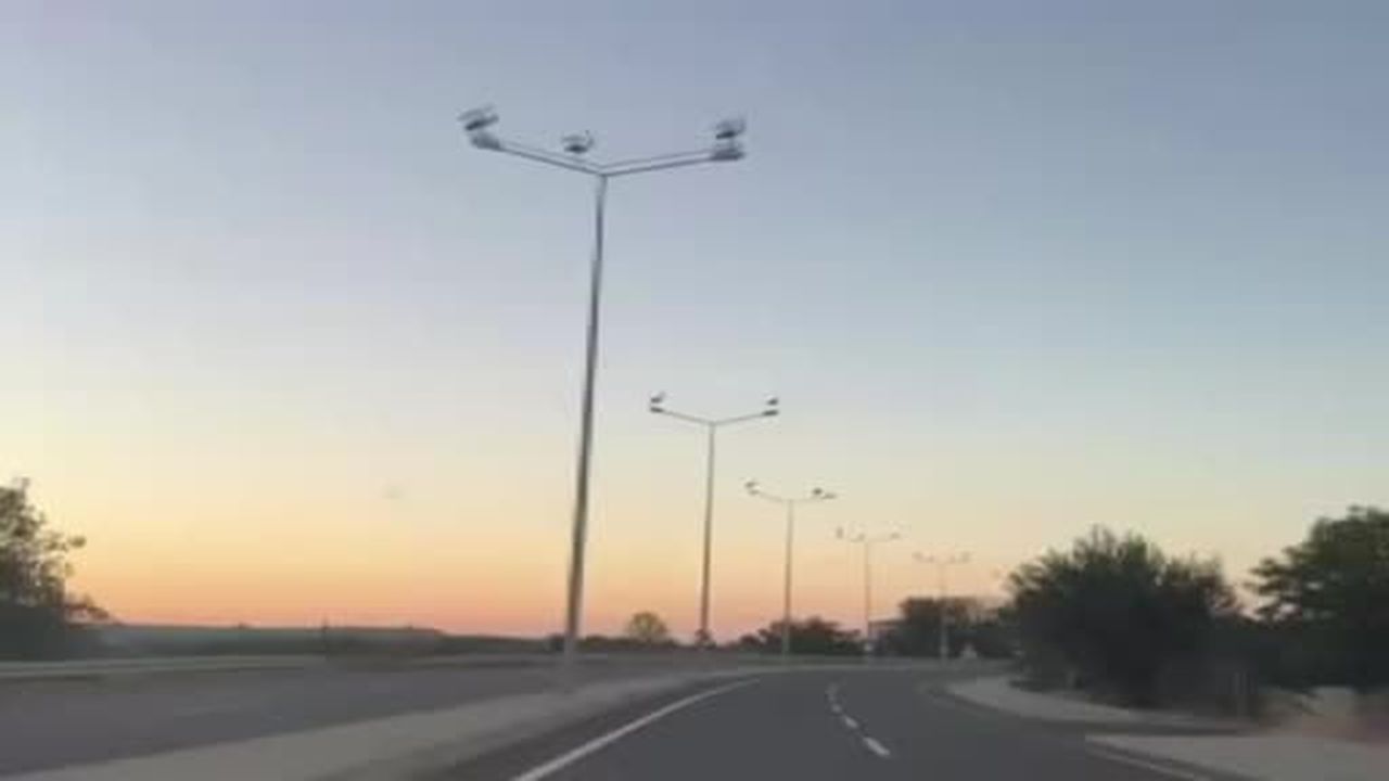 Muratlı'da leylekler direkleri mesken tuttu