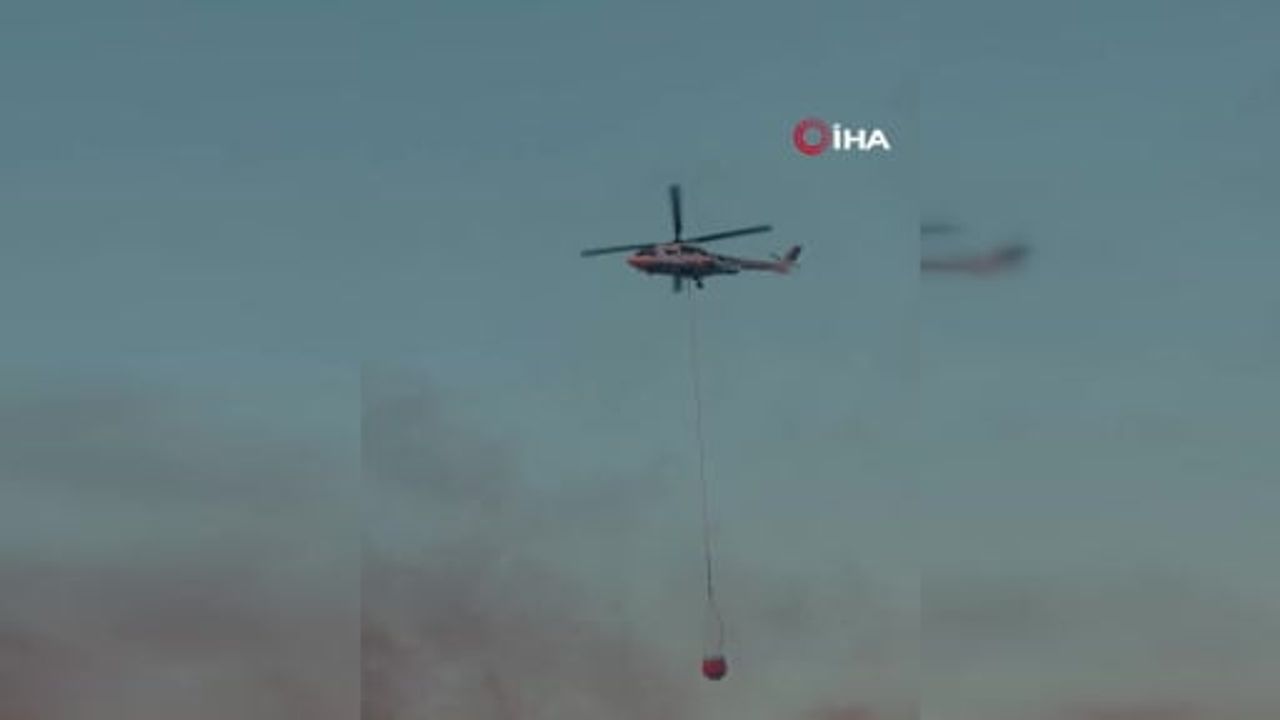 Alanya'daki orman yangını tamamen kontrol altına alındı