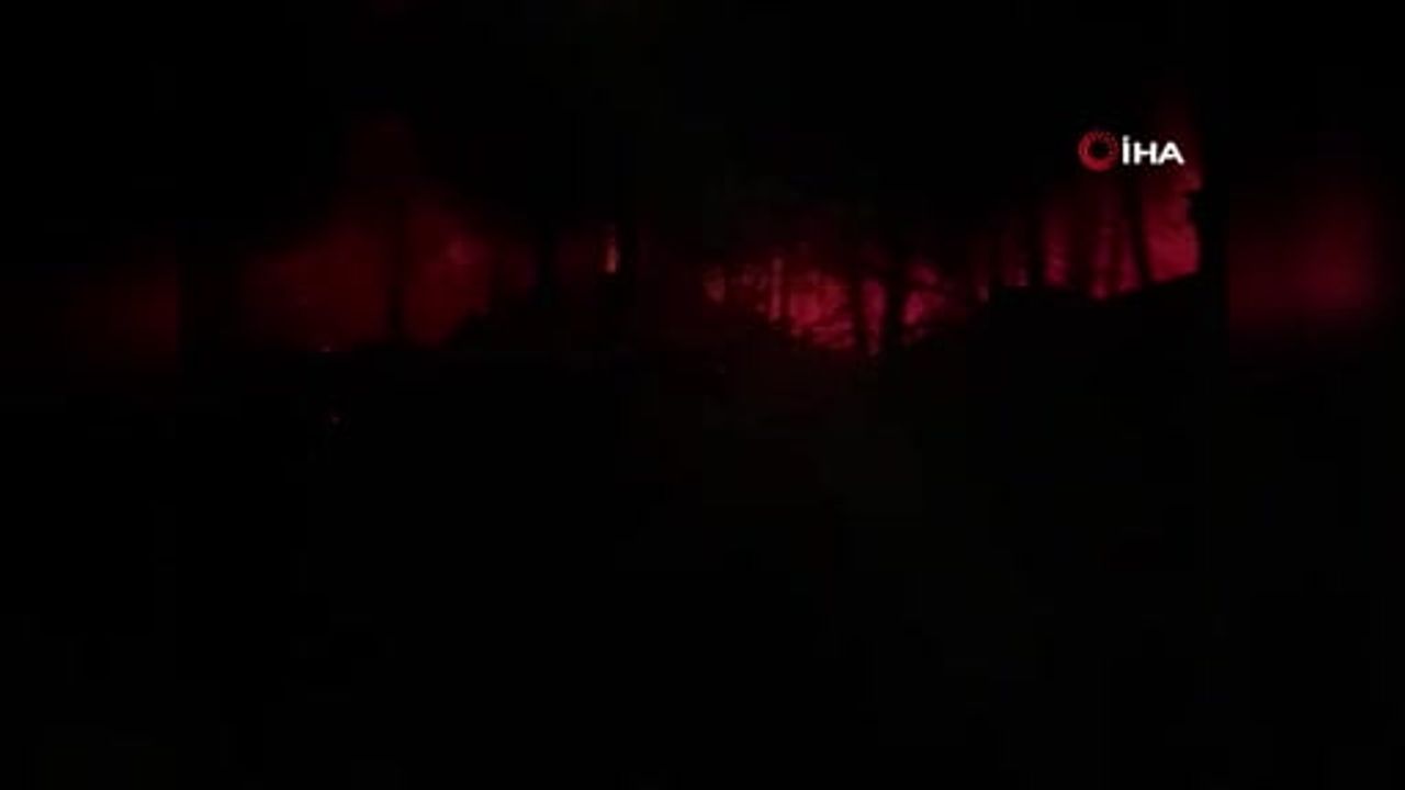 Susurluk'ta çıkan yangına havadan müdahale ediliyor