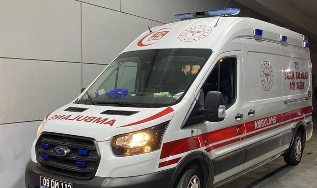AYDIN'IN EFELER İLÇESİNDE BİR BABA EVİNİN BAHÇESİNE HAVA ALMAK İÇİN ÇIKTIĞI ESNADA, 25 YAŞINDAKİ...