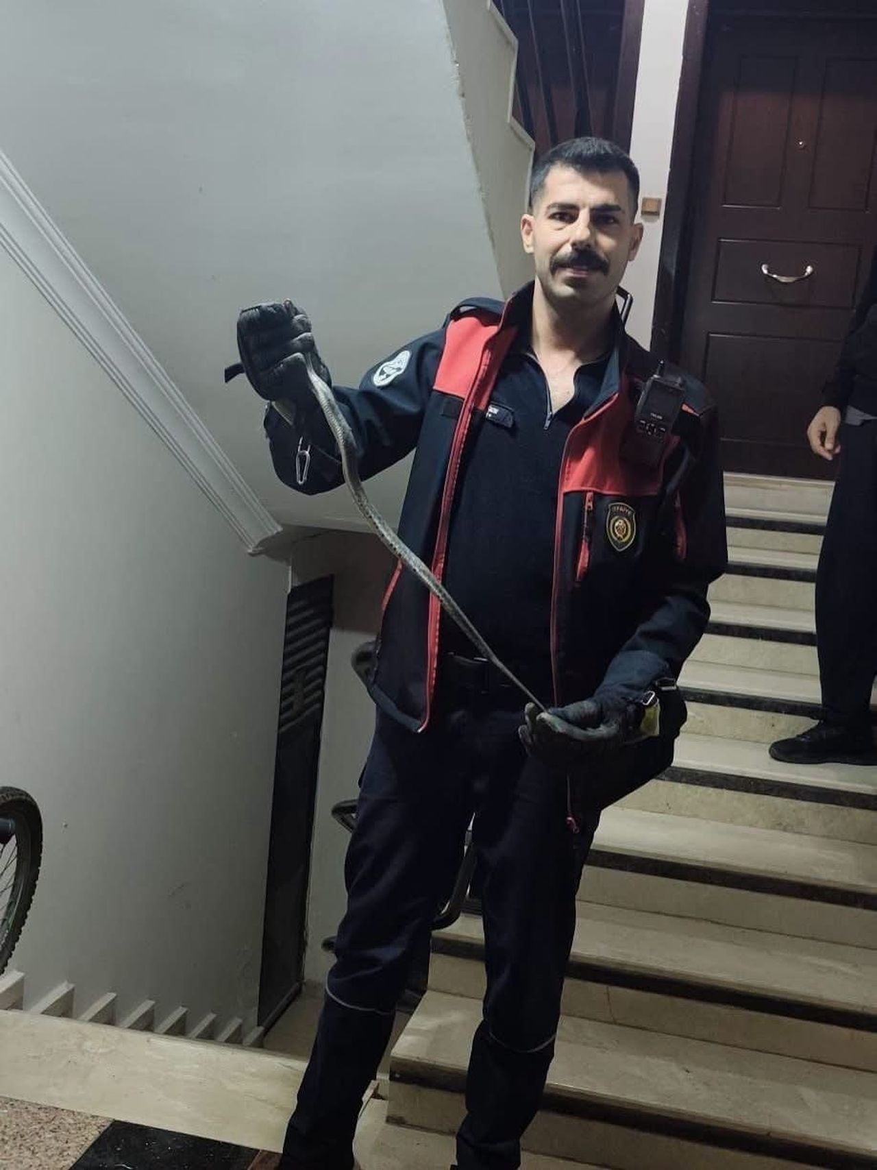 DEFNE’DE YERLEŞİM YERİNDE GÖRÜLEN YILAN İTFAİYE EKİPLERİNCE YAKALANARAK DOĞAYA...