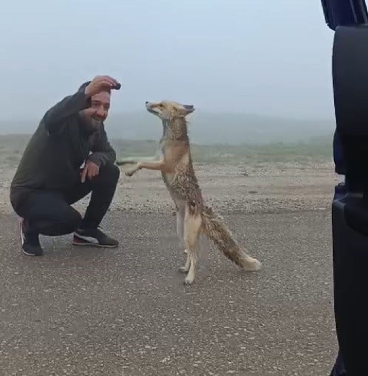RAŞİT ERASLAN VE TİLKİ