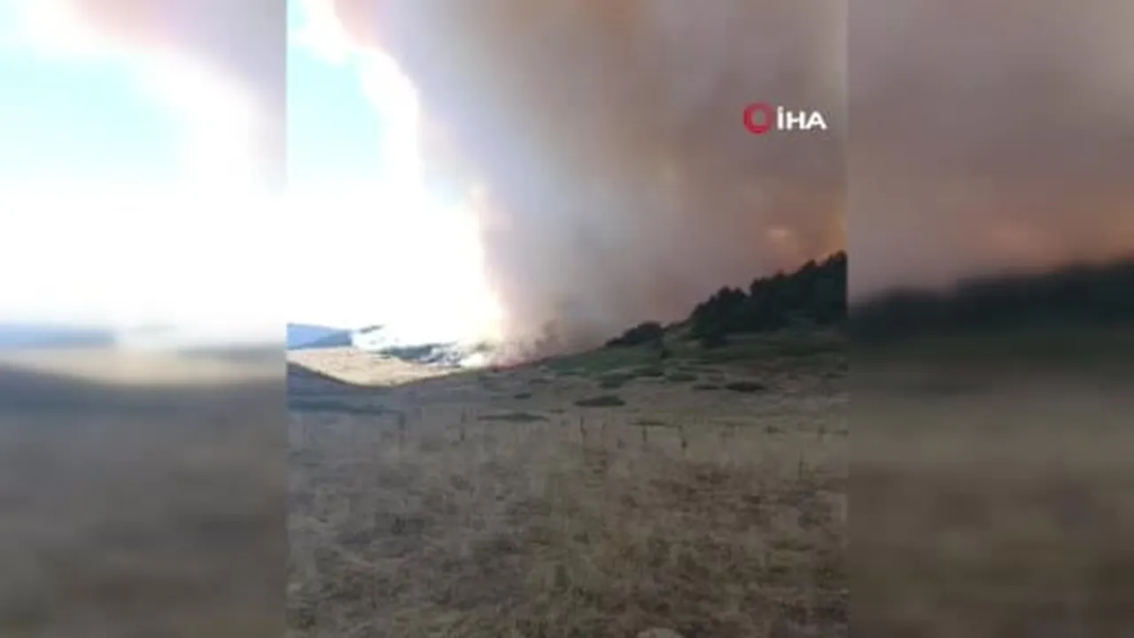 Ankara-Çankırı sınırında orman yangını