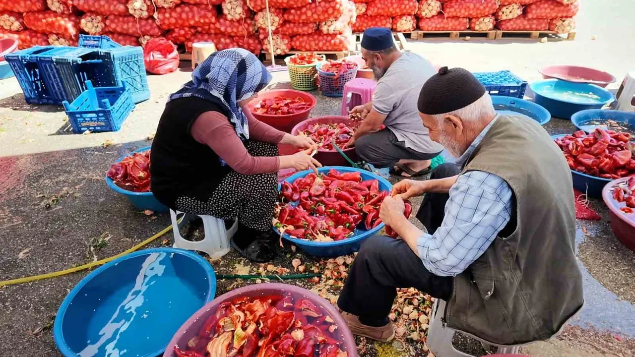 SALÇALIK DOMATES VE BİBERLERİN TEZGAHLARDAKİ YERİNİ ALMASIYLA BİRLİKTE VATANDAŞLAR NİĞDE YAŞ SEBZE...