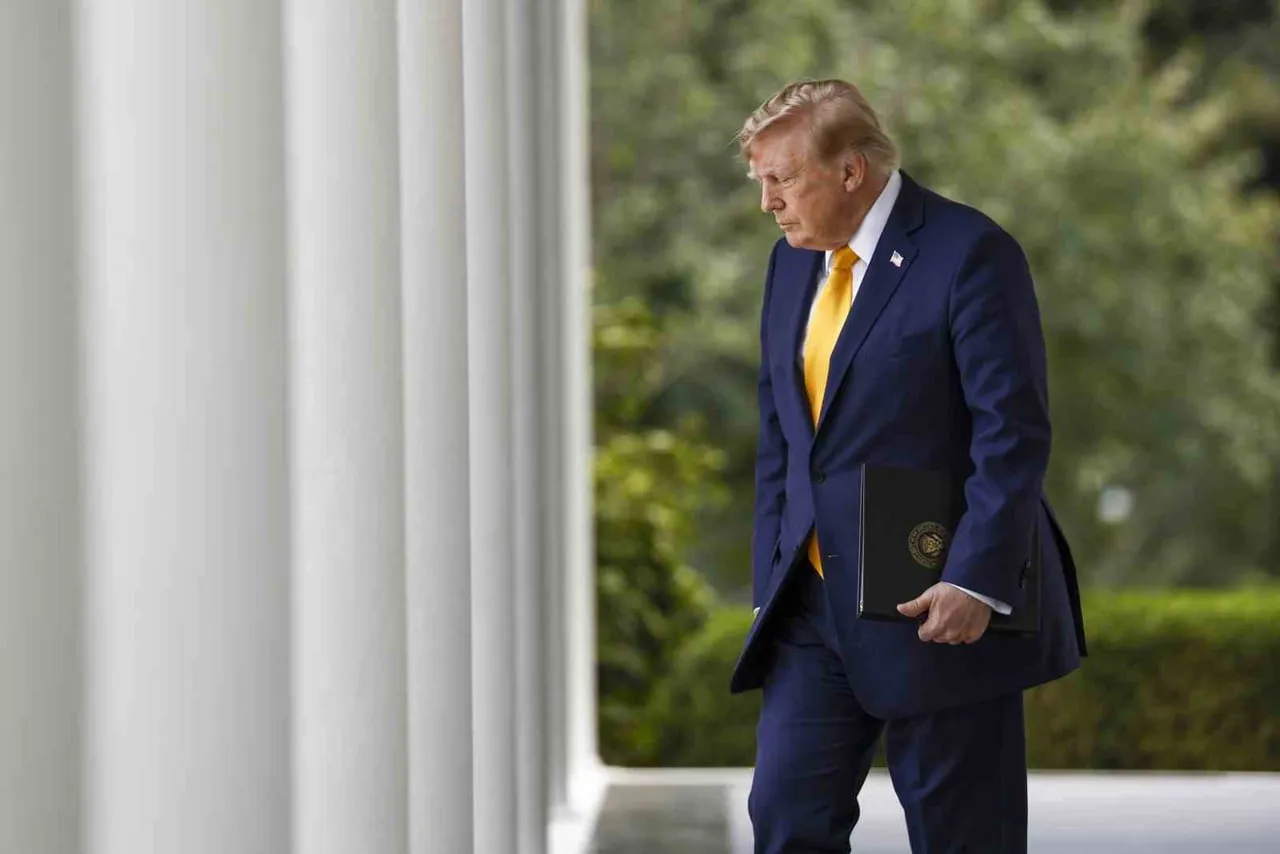 ABD BAŞKANI DONALD TRUMP