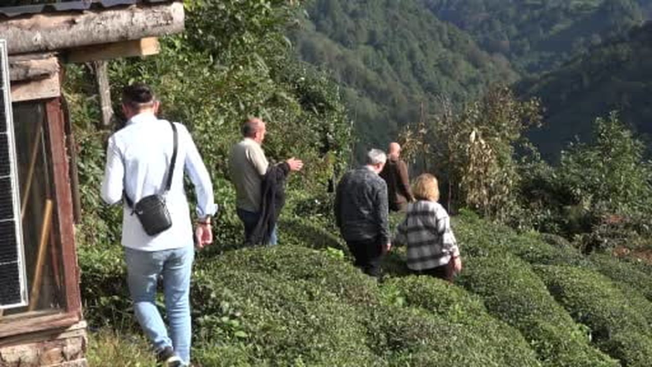 Çayeli’nin kültürel mirası bilimsel çalışmayla kayıt altına alınıyor