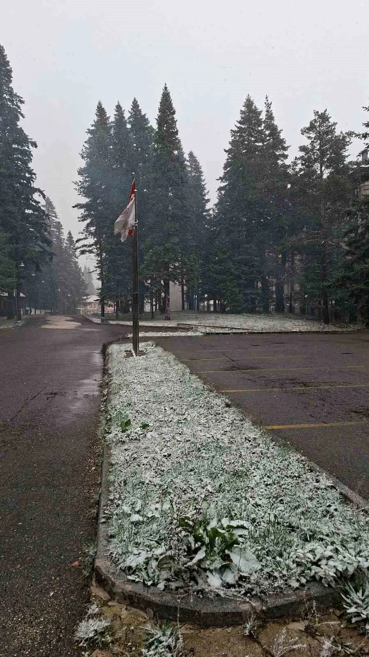 KASTAMONU-ÇANKIRI SINIRINDA BULUNAN ILGAZ DAĞI'NDA KAR YAĞIŞI ETKİLİ OLUYOR.