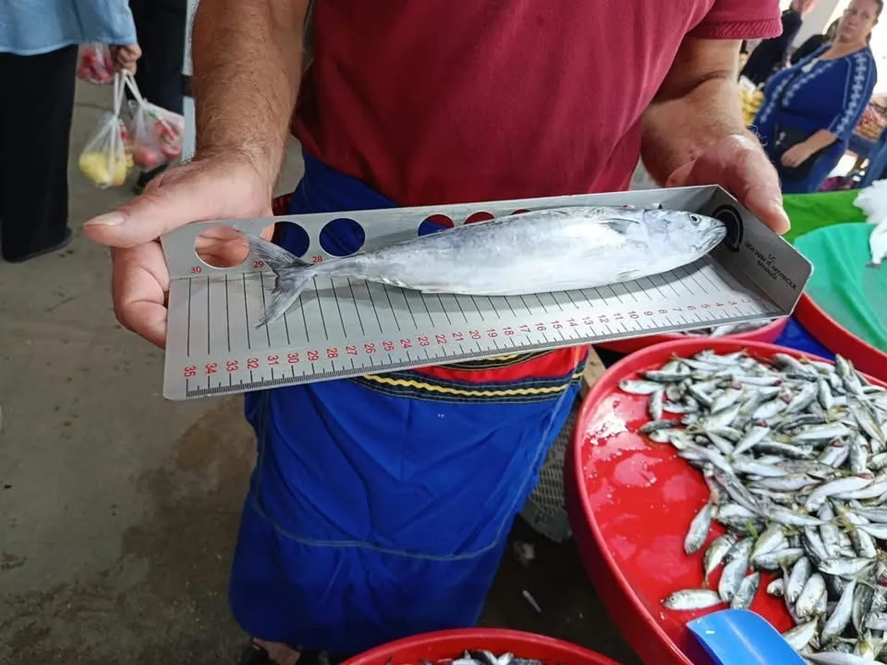 SU ÜRÜNLERİ KONTROL GÖREVLİLERİ TARAFINDAN YAPILAN DENETİMLERDE, SATIŞA SUNULAN BALIKLARIN...