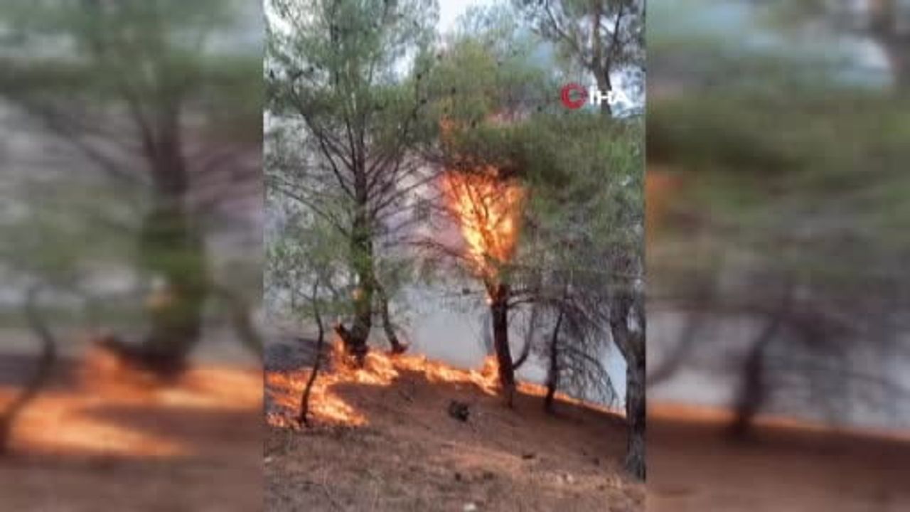 Ayvalık’taki orman yangını kontrol altına alındı