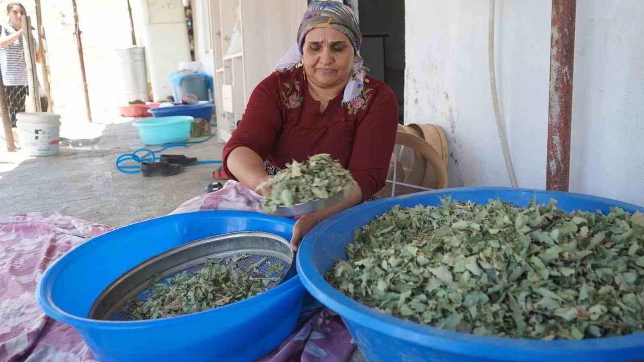 ŞIRNAK'TA KIŞ VE İLKBAHAR AYLARINDA ETKİLİ OLAN YOĞUN KAR VE YAĞIŞLARIN ARDINDAN DAĞLIK...