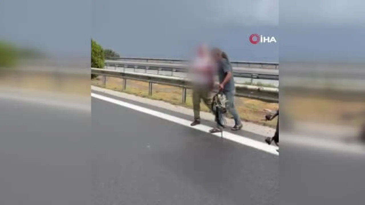 Otoyolda minibüs ve 2 tırın karıştığı kazada 11 kişi yaralandı