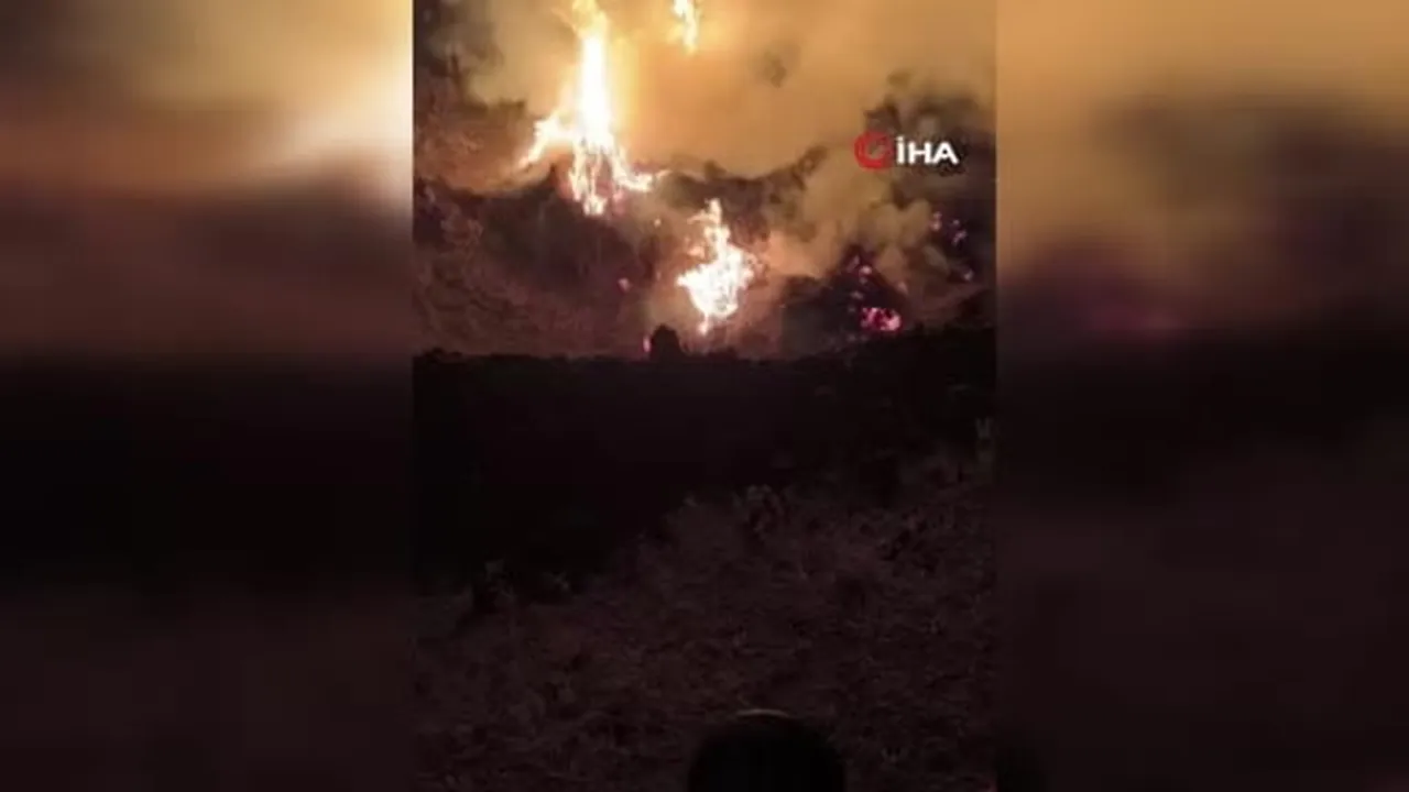 Yüksekova’da çıkan yangında 5 bin bağ ot kül oldu