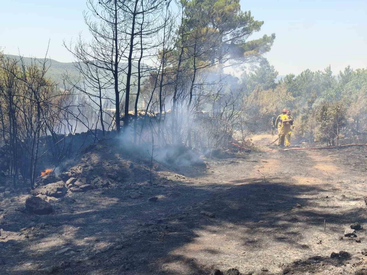 MUĞLA'NIN MENTEŞE İLÇESİNDE ZİRAİ ALANDA BAŞLAYIP ORMANLIK ALANA SIÇRAYAN YANGIN, EKİPLERİN...