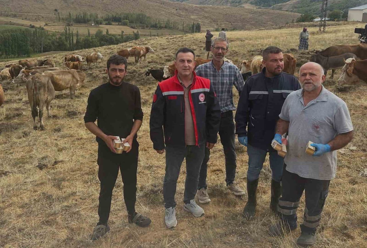 AYDINTEPE’DE HAYVAN YETİŞTİRİCİLERİNE YONCA ZEHİRLENMESİ UYARISI