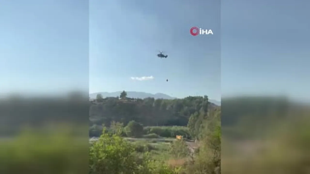 Kaş'daki yangında koyunlar ve kaplumbağa böyle kurtarıldı