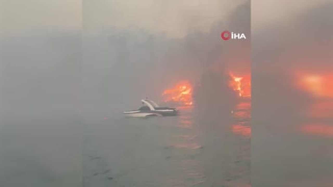 Kanada'nın British Columbia eyaletindeki orman yangında yaklaşık 230 ev kullanılamaz hale...