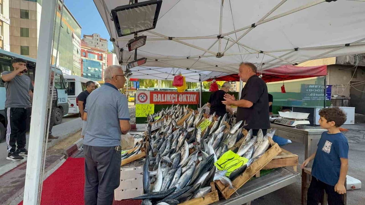 ZONGULDAK'TA EYLÜL AYIYLA BİRLİKTE BAŞLAYAN BALIKÇILIK SEZONUNDA PALAMUTUN TANESİ 100 LİRADAN...