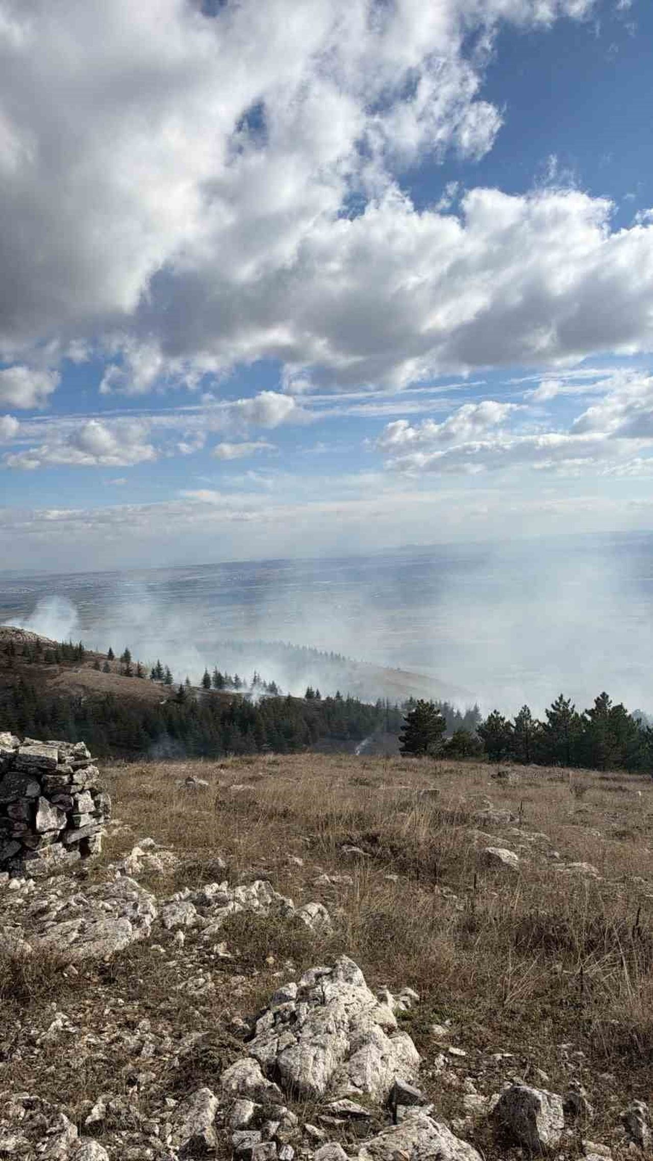 ESKİŞEHİR'İN TEPEBAŞI İLÇESİNDE ORMANLIK ALANDA ÇIKAN YANGIN, EKİPLERİN MÜDAHALESİ SONUCU KONTROL...