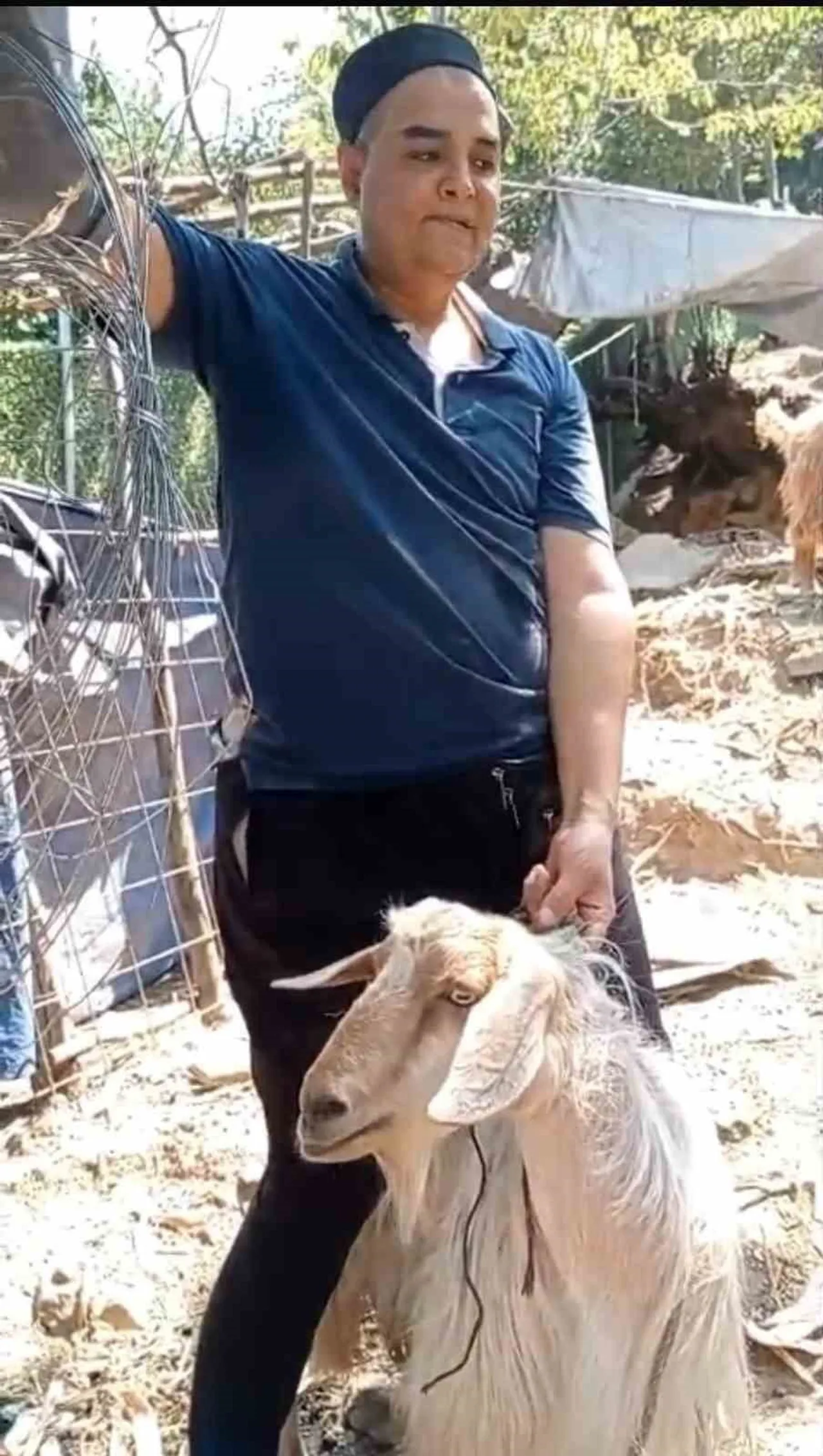 BURSA'DA BİR EVE GİRİP ETRAFI DAĞITAN YARAMAZ KEÇİ SOSYAL MEDYAYA DÜŞÜNCE ONU 4 GÜNDÜR ARAYAN...