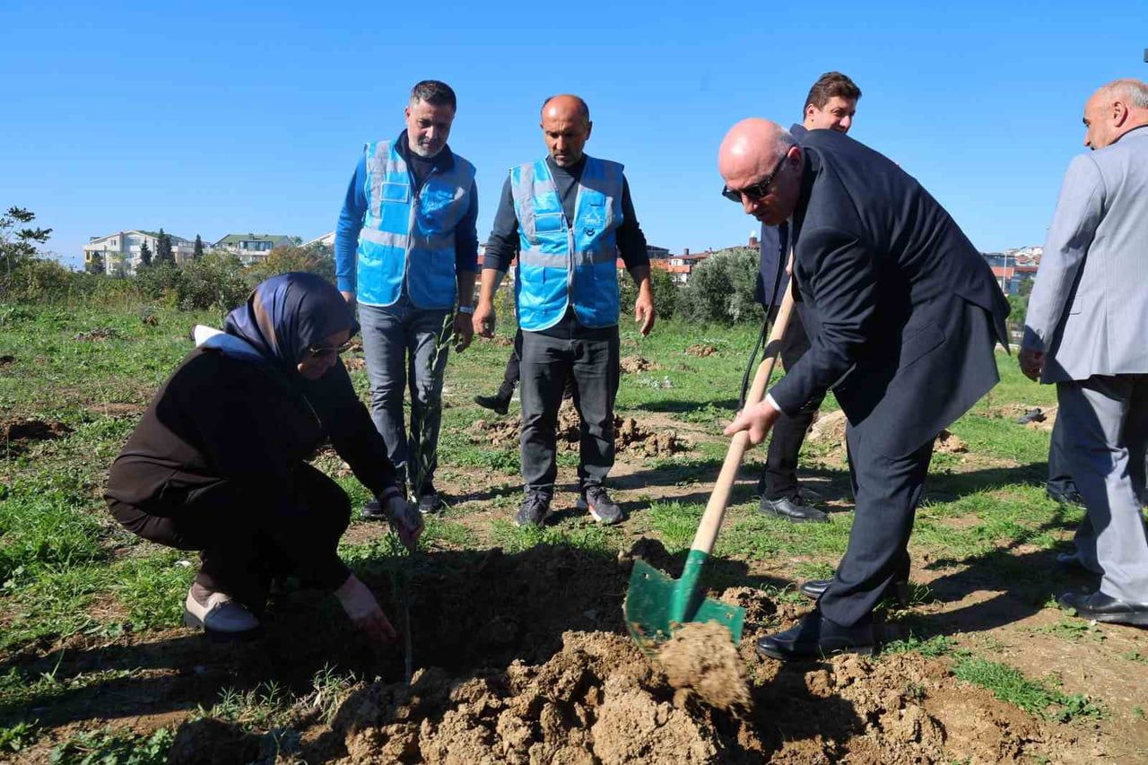 DARICA BELEDİYESİ TARAFINDAN ZEYTİN FESTİVALİ KAPSAMINDA DARICA MİLLET BAHÇESİ'NDE 100 ZEYTİN...