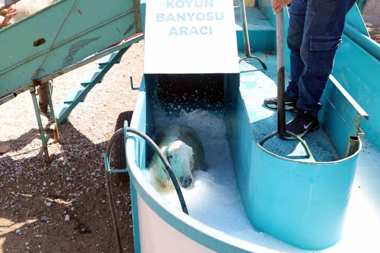 TALAS BELEDİYESİNİN 2019 YILINDA HAYATA GEÇİRDİĞİ MOBİL KOYUN BANYOLUĞU, 7 YILDIR KIRSAL...