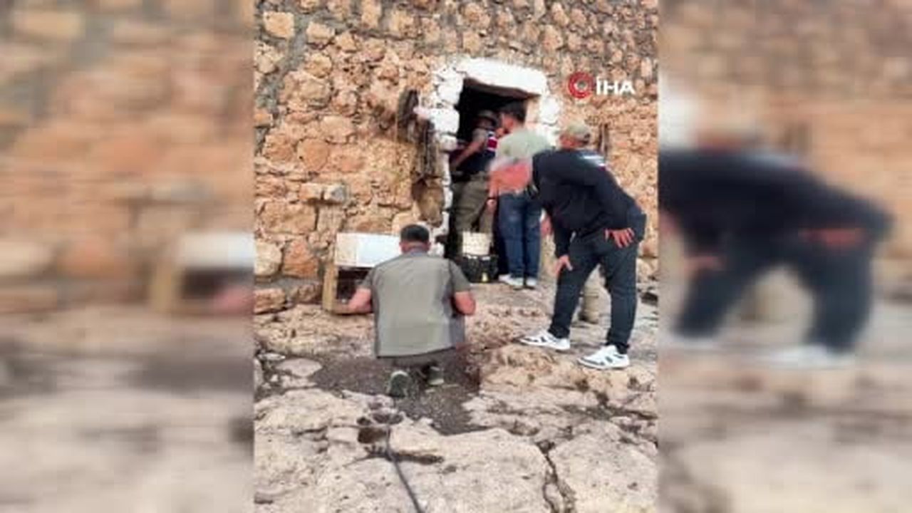 Mardin'de yasa dışı keklik avına 129 bin 429 lira ceza