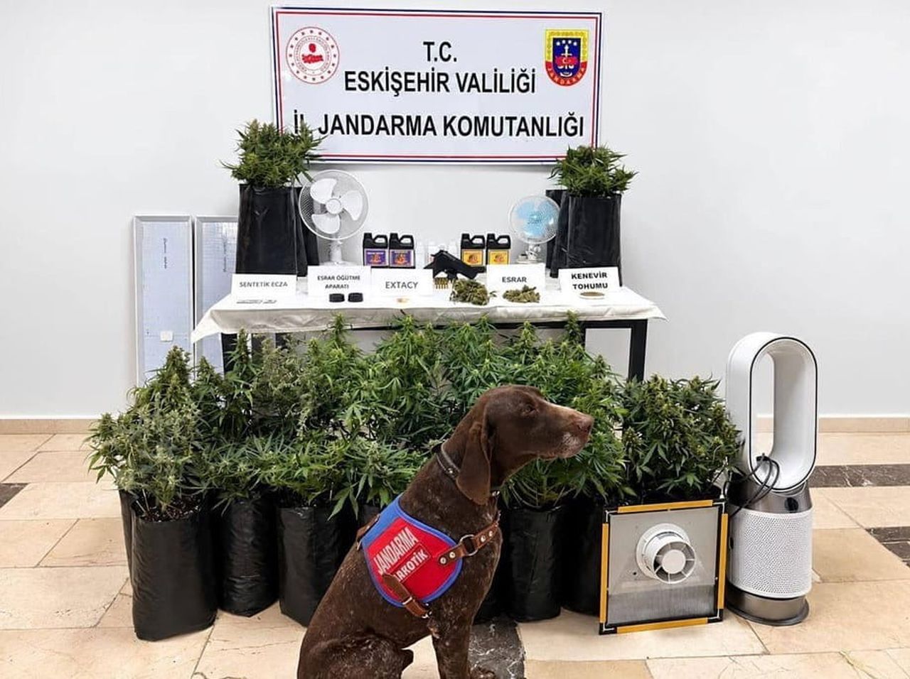 ELE GEÇİRİLENLER