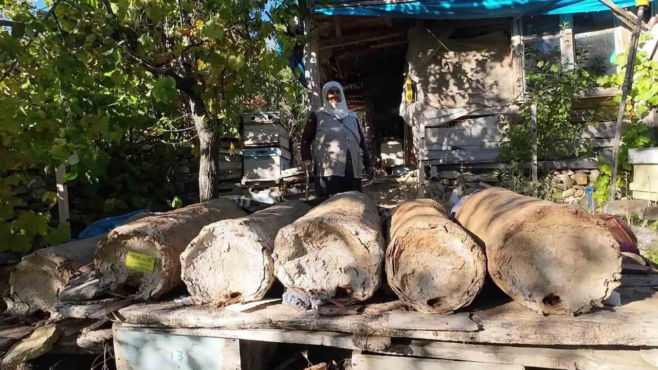 YOZGAT'IN ÇAYIRALAN İLÇESİNDE YAŞAYAN 85 YAŞINDAKİ HATİCE ORHAN, AİLESİNDEN MİRAS KALAN ARICILIK...