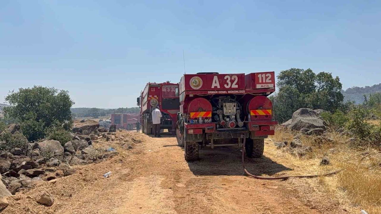 GAZİANTEP'TEKİ ORMAN YANGINI KONTROL ALTINA ALINDI