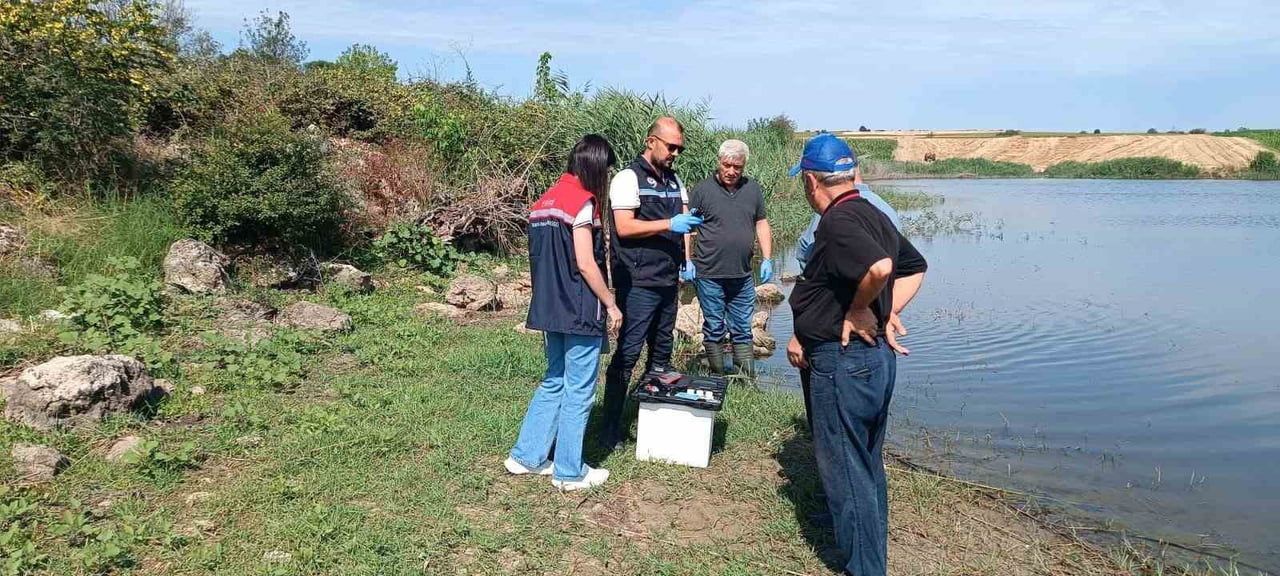 EDİRNE MERKEZ İLÇEYE BAĞLI KORUCU KÖYÜ GÖLETİ'NDE YAŞANAN BALIK ÖLÜMLERİYLE İLGİLİ İL TARIM VE...