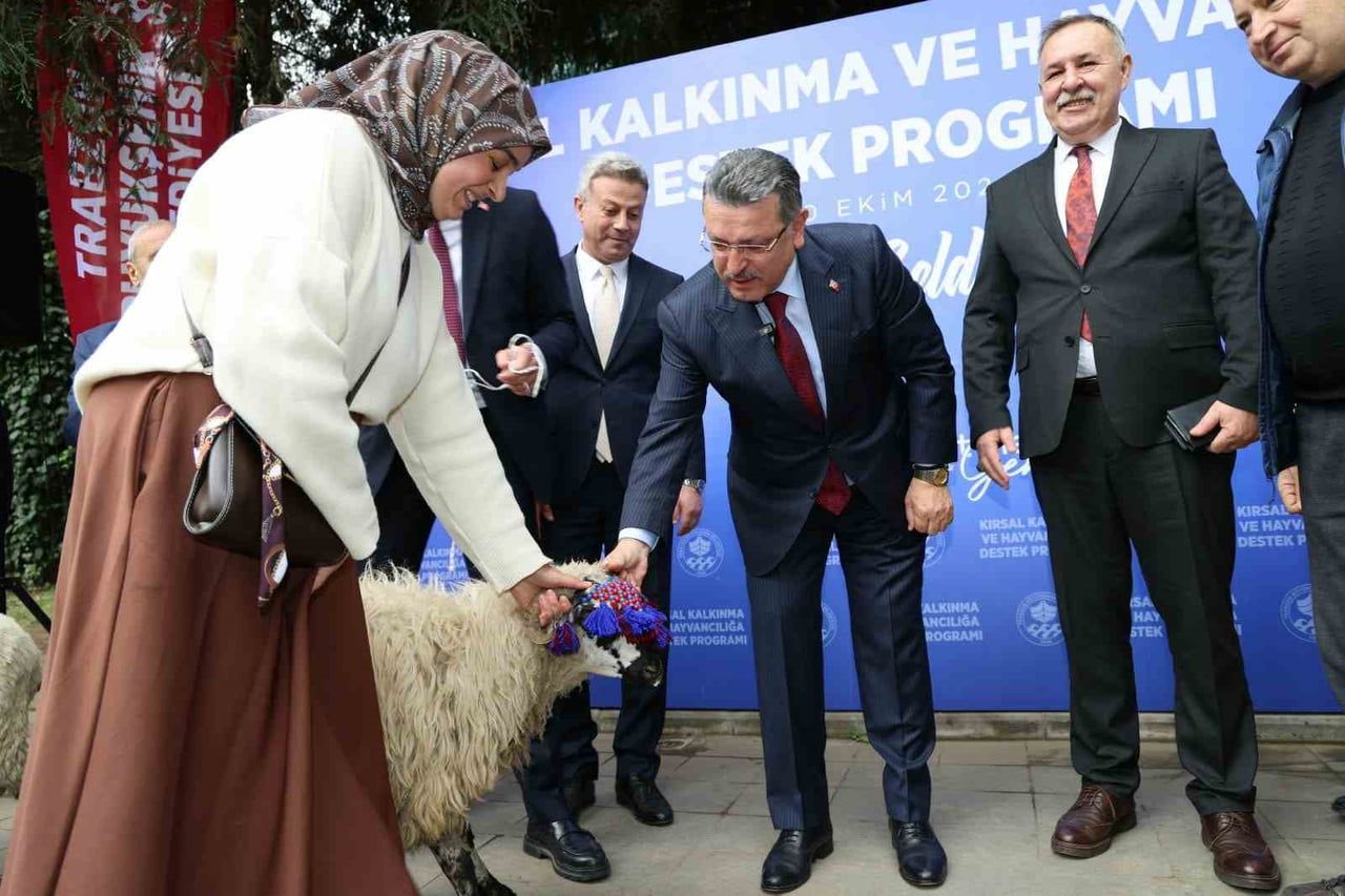 TRABZON'UN MAÇKA İLÇESİNDE 36 YETİŞTİRİCİYE YÜZDE 90 HİBE DESTEĞİYLE 180 YERLİ KARAYAKA KOYUNU...