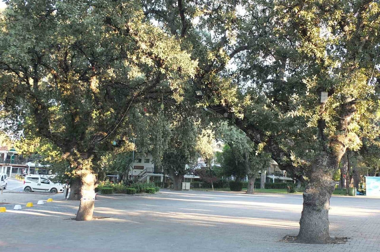 MEŞELERE KİMLİK