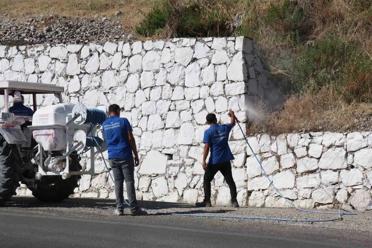 BOZDOĞAN’DA HAŞEREYLE MÜCADELE SÜRÜYOR