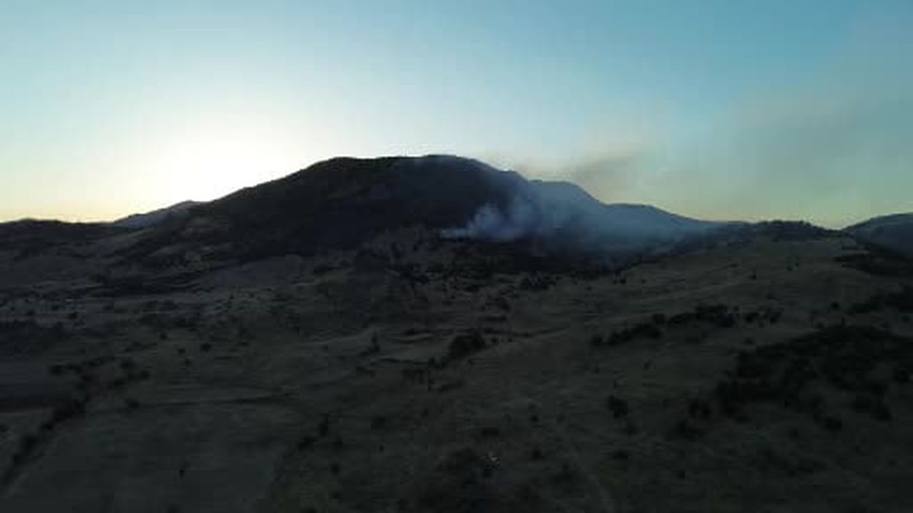 Konya’da ormanlık alanda yangın