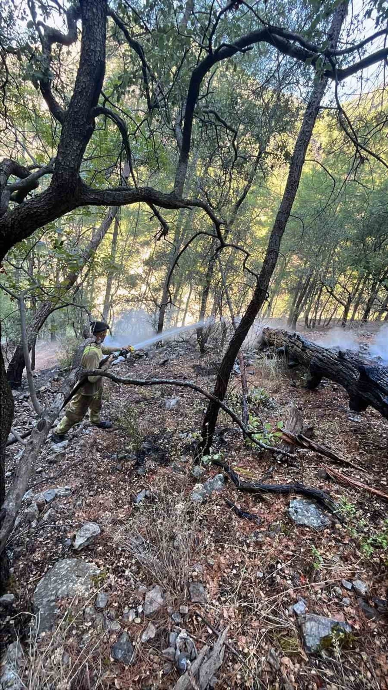 MUĞLA’NIN DALAMAN İLÇESİ BOZBEL MEVKİSİNDE GECE SAATLERİNDE BAŞLAYAN ORMAN YANGINI, EKİPLERİN...