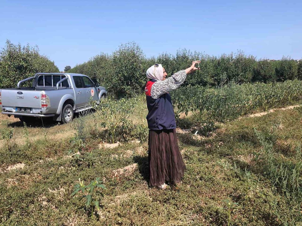 KIRKLARELİ’NİN BABAESKİ İLÇESİNDE TARIM ARAZİLERİNİN GÜNCEL KULLANIM DURUMUNUN BELİRLENMESİ...